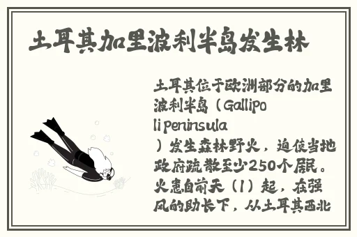 国产精品三级一区二区